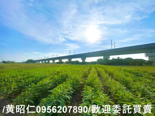 台南農地-3