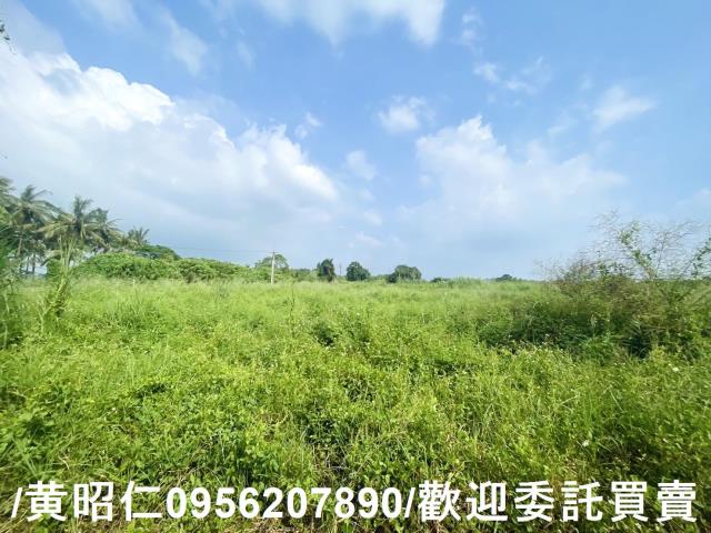 台南歸仁農地-0