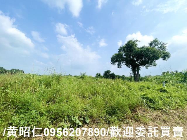 台南歸仁農地-1