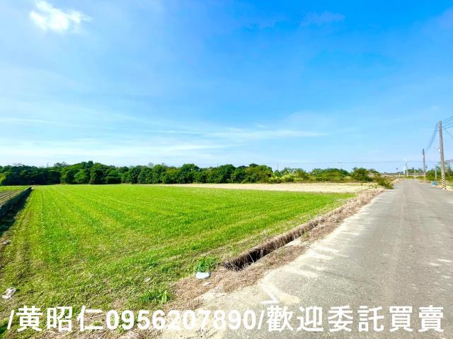 台南安定農地-3