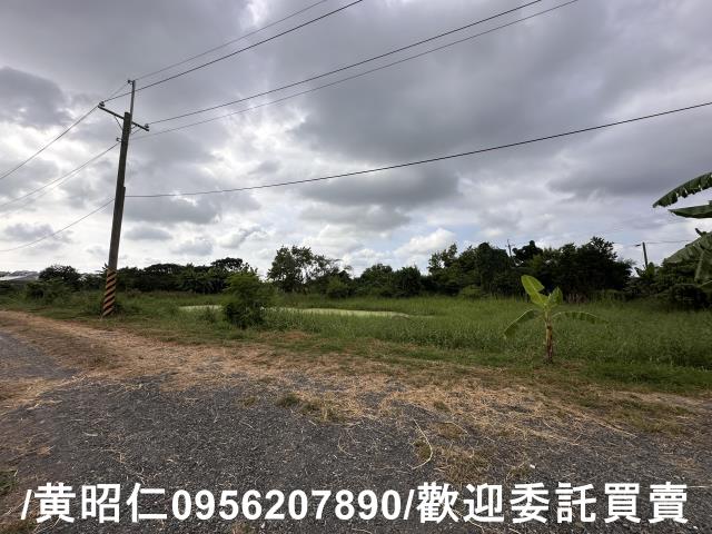 新市農地-4