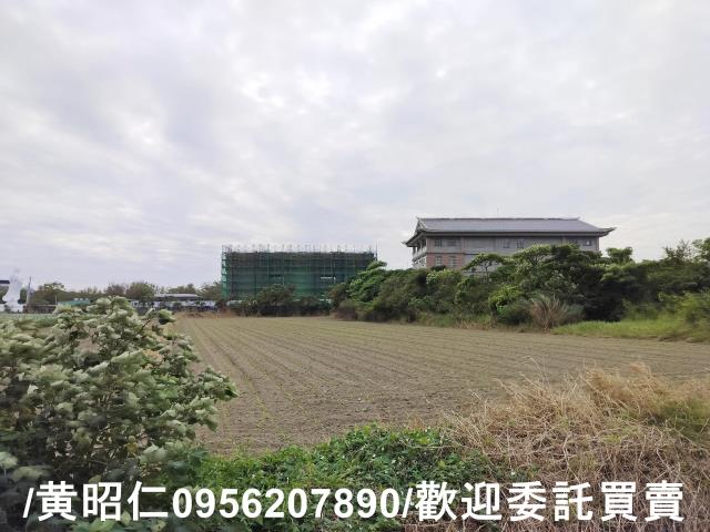安定農地-2