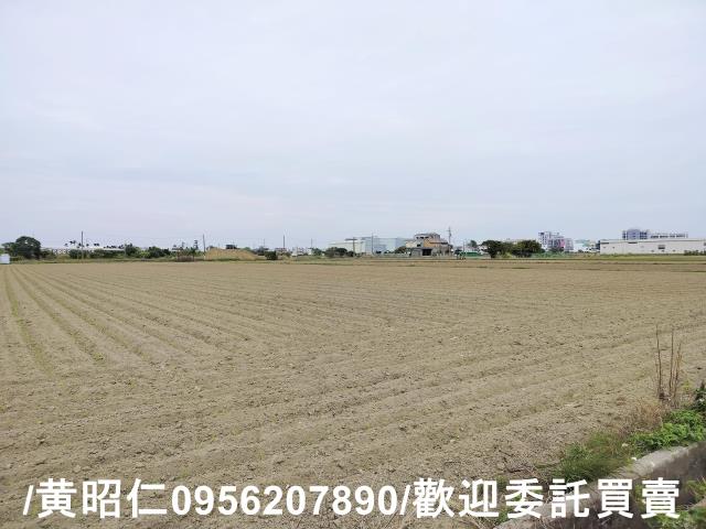 安定農地-3