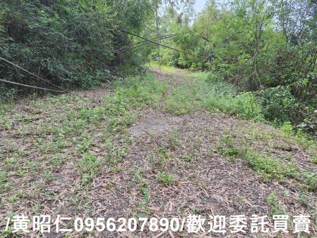 台南龍崎農地-2
