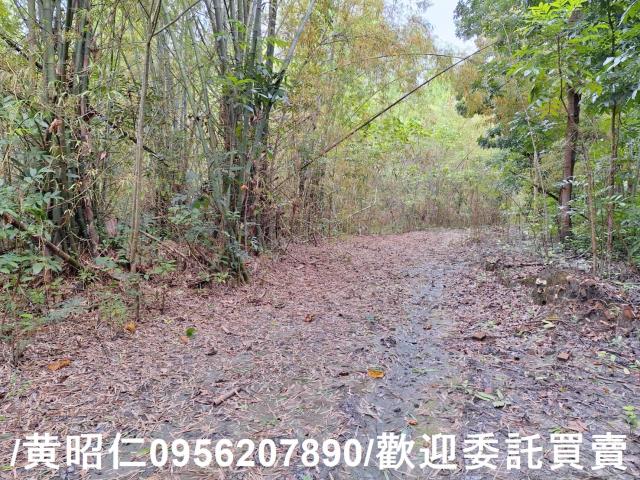 台南龍崎農地-3