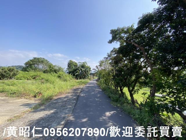 台南玉井農地-0