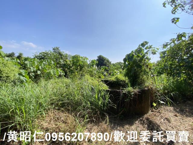 台南玉井農地-10