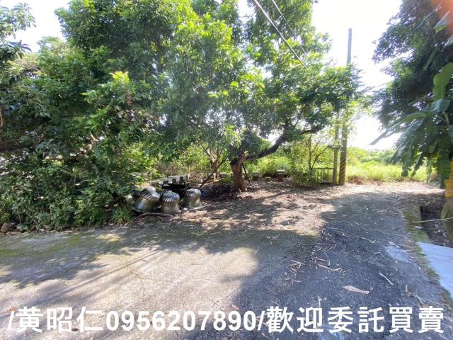 台南玉井農地-8