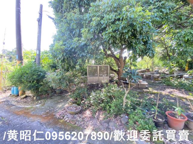 台南玉井農地-9