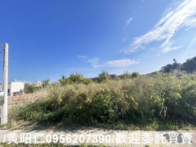 台南玉井農地-2