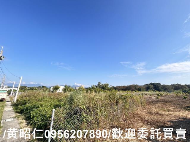 台南玉井農地-5