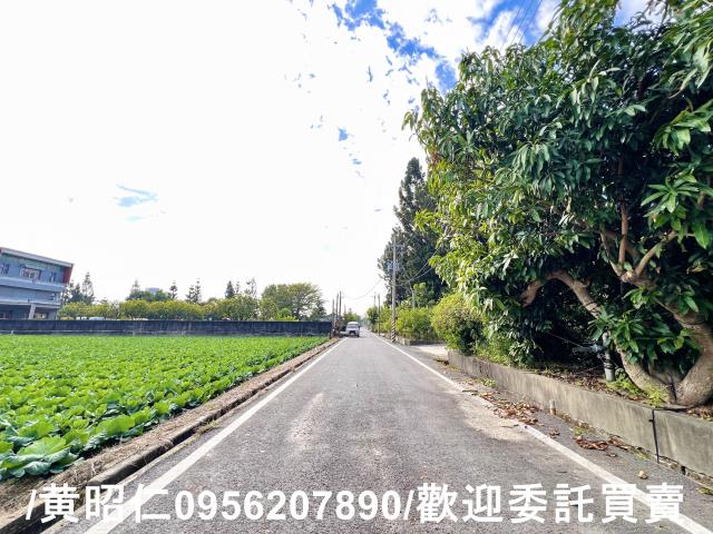 台南農地-10
