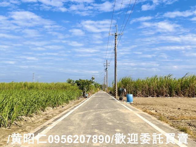 台南善化農地-3