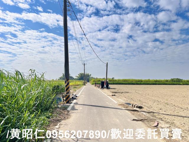 台南善化農地-5