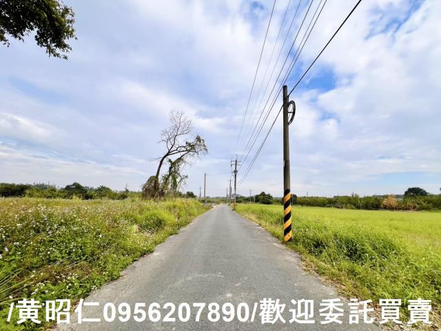 歸仁農地-0