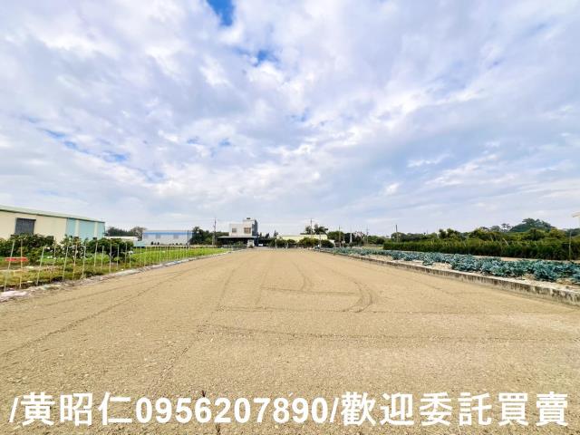 歸仁農地-4