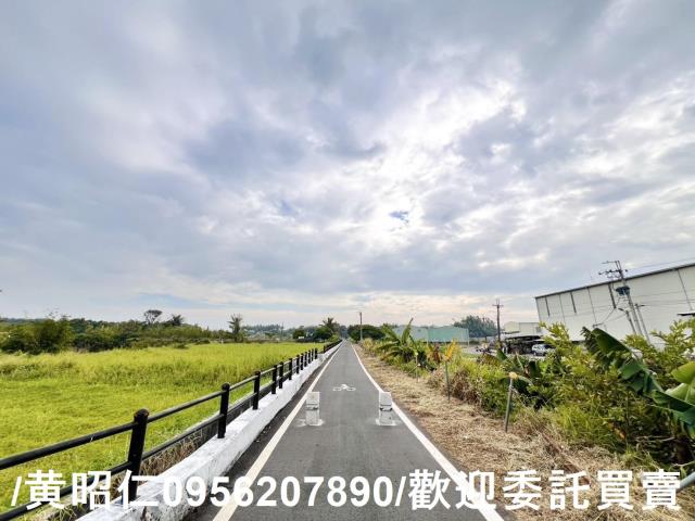 歸仁農地-5