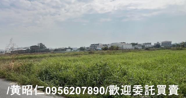 歸仁農地-5