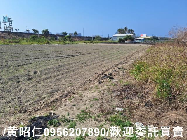 仁德農地-0