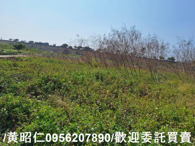 仁德農地-6