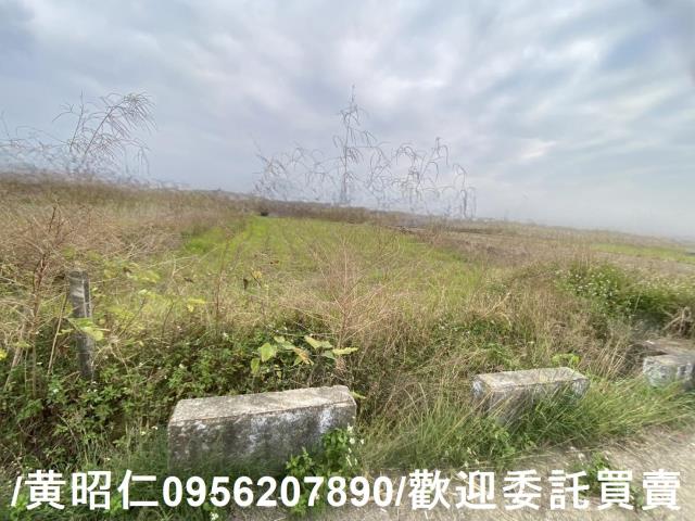 台南新市農地-9