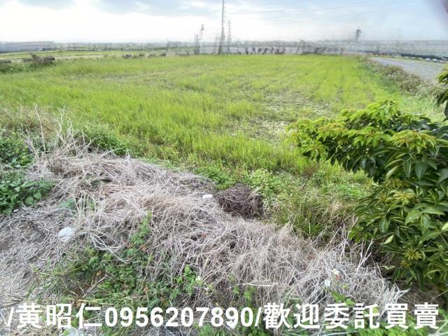 台南新市農地-2