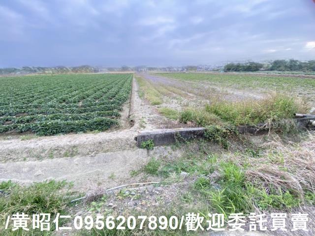 台南新市農地-0