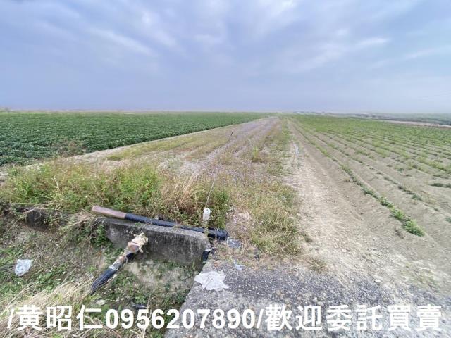 台南新市農地-2