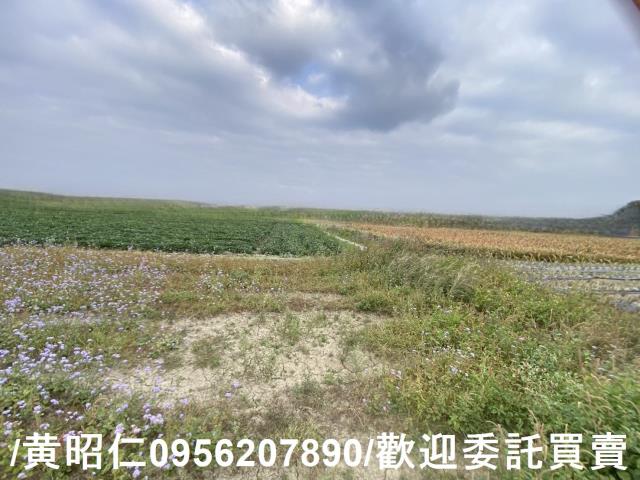 台南新市農地-5