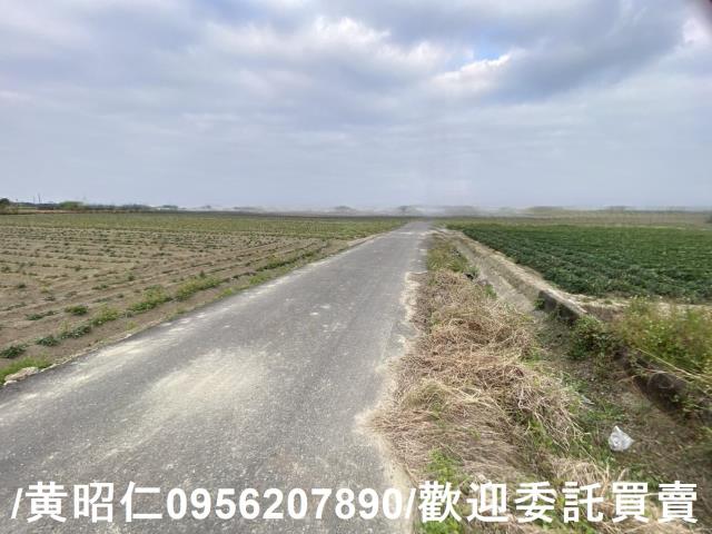 台南新市農地-6