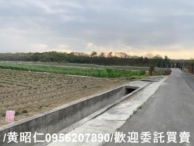 台南新市農地-7