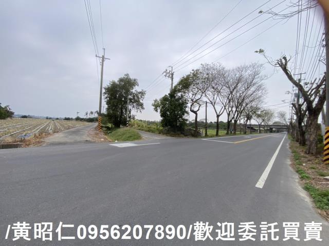 台南新市農地-9