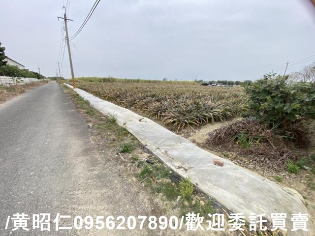 台南新市農地-11
