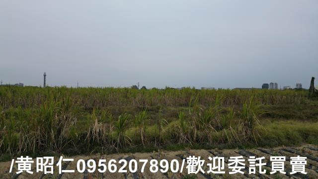 台南新市農地-13