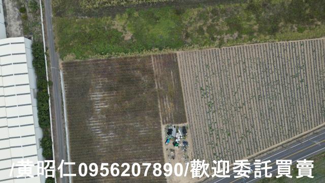 台南新市農地-1