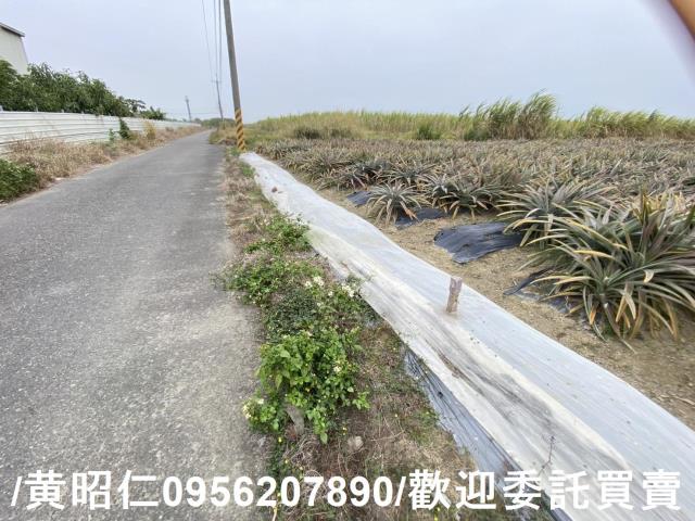 台南新市農地-3