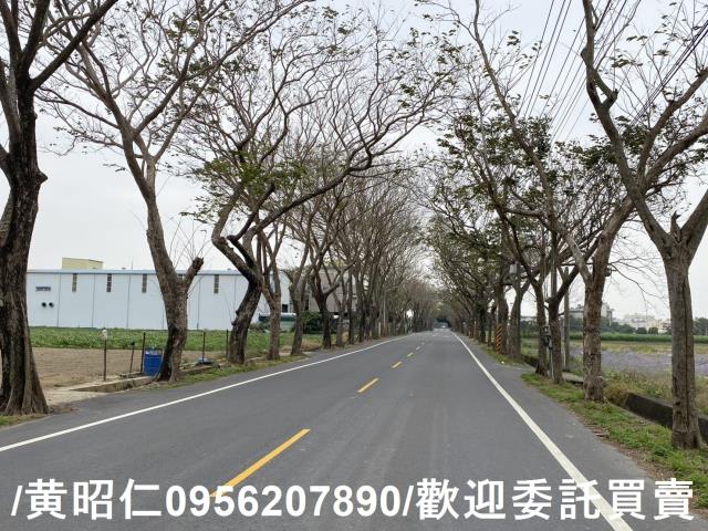 台南新市農地-7