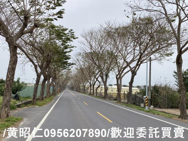 台南新市農地-8