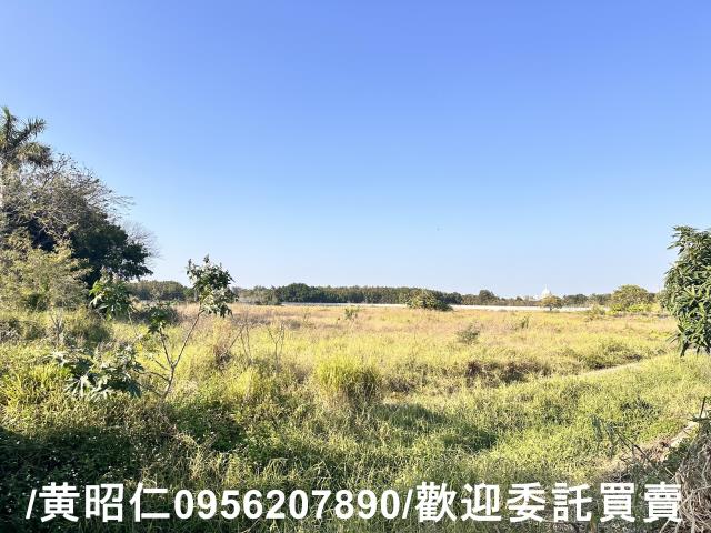 仁德農地-0