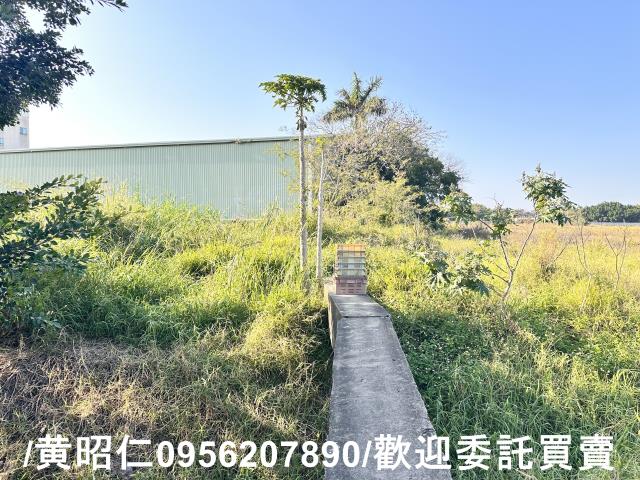 仁德農地-1