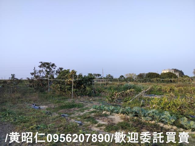 佳里農地-12