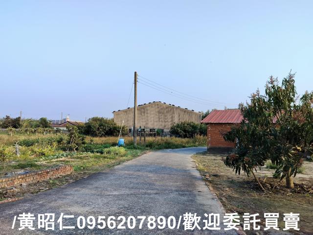 佳里農地-13