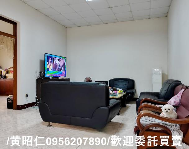佳里農地-2