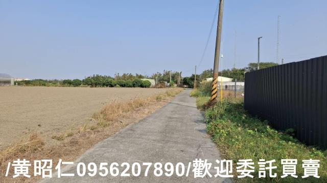 佳里農地-9