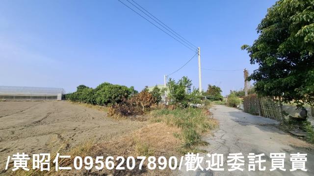 佳里農地-1