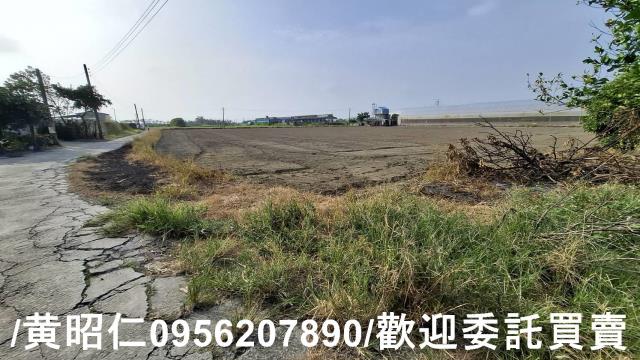 佳里農地-2