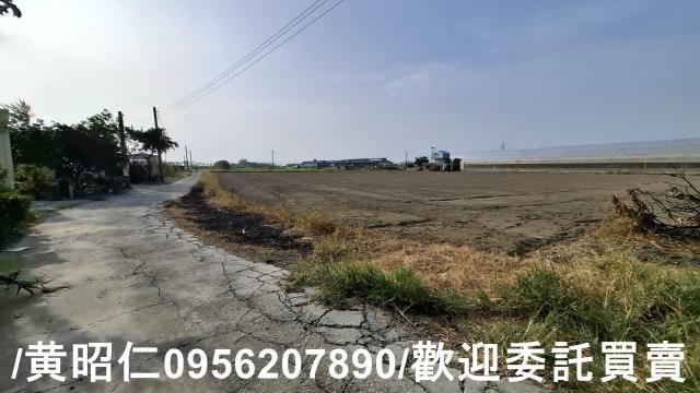 佳里農地-5