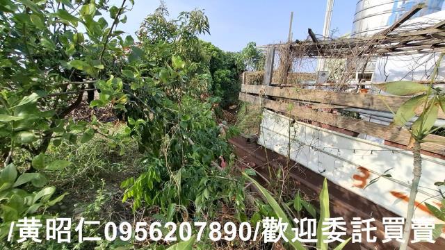 佳里農地-6