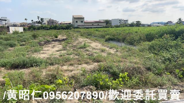 台南永康農地-1