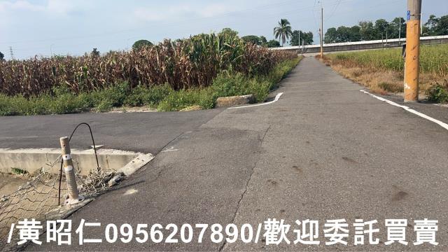 台南永康農地-4